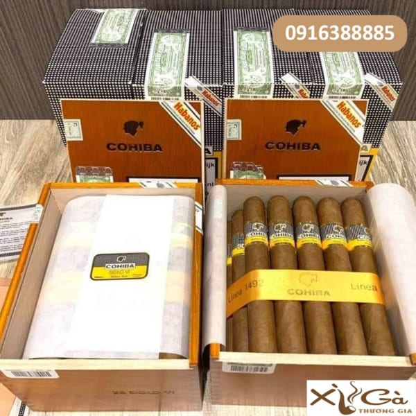 Xì Gà Cuba Cohiba Siglo 6 hộp gỗ 25 điếu - 3