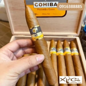 Xì gà Cohiba Piramides Extra hộp 10 điếu