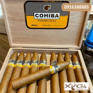 Xì gà Cohiba Piramides Extra hộp 10 điếu chính hãng
