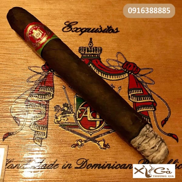 xì gà Arturo Fuente Maduro Exquisitos - hộp 50 điếu chính hãng giá rẻ
