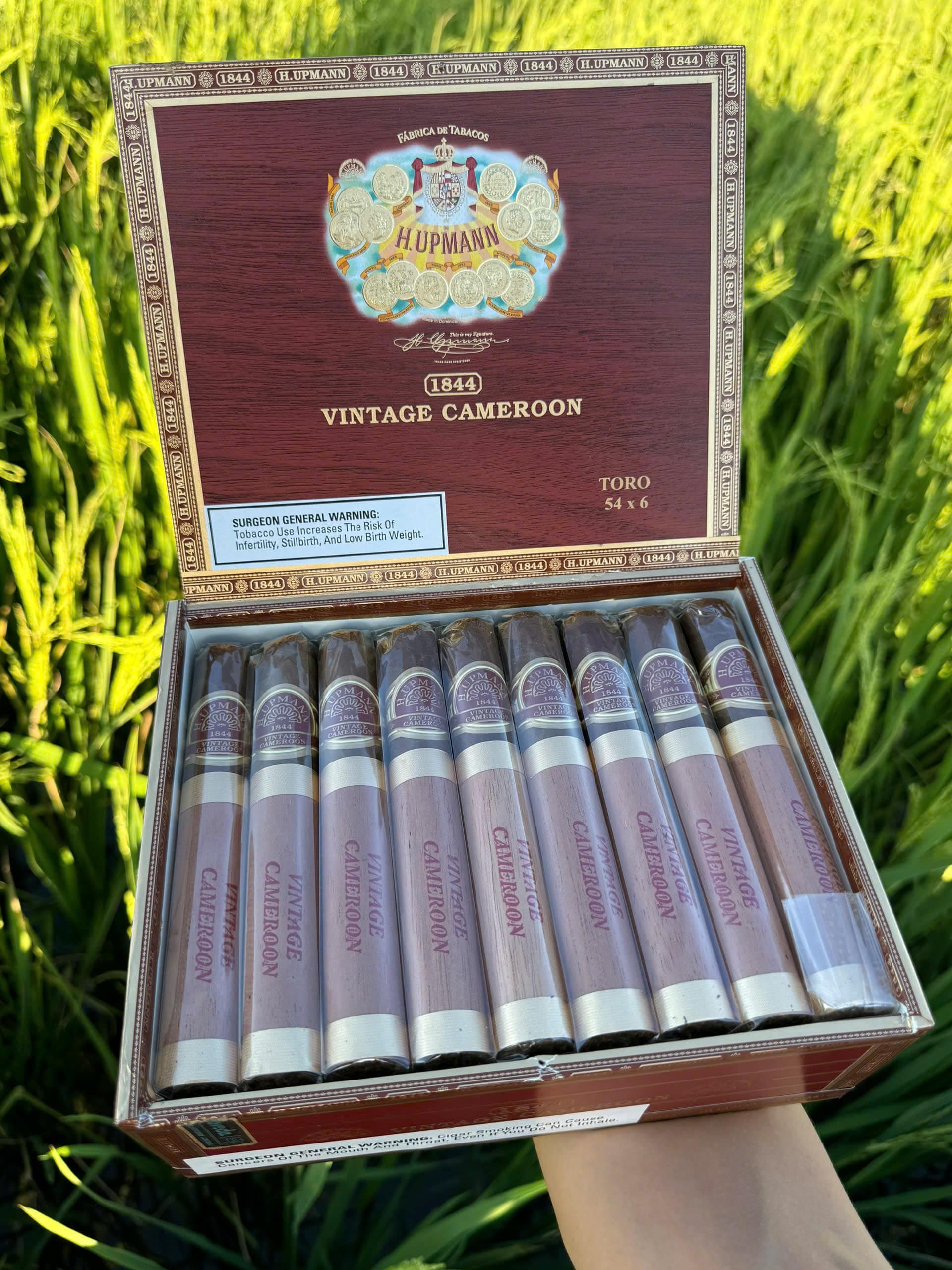 Box xi ga h upmann 1844 vintage cameroon