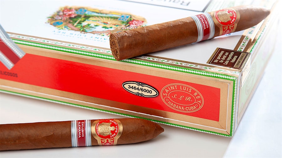 Xi ga Saint Luis Rey Belicoso