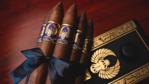 Xì Gà Highclere Castle Senetjer