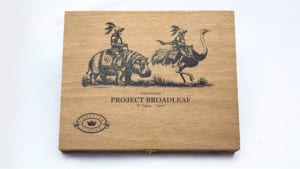 Xi-Ga-Project-Broadleaf