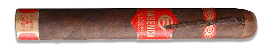 dieu Plasencia’s Year Of The Horse