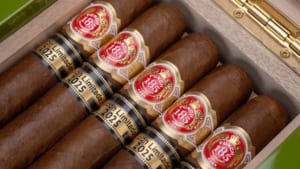 Xì Gà Punch Princesas