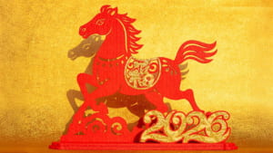 9 loại xì gà kỷ niệm tết năm con ngựa