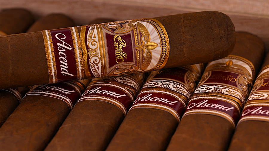 Xì Gà Casa Carrillo Ascend