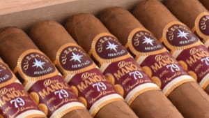 Xì Gà Don Manolo 79