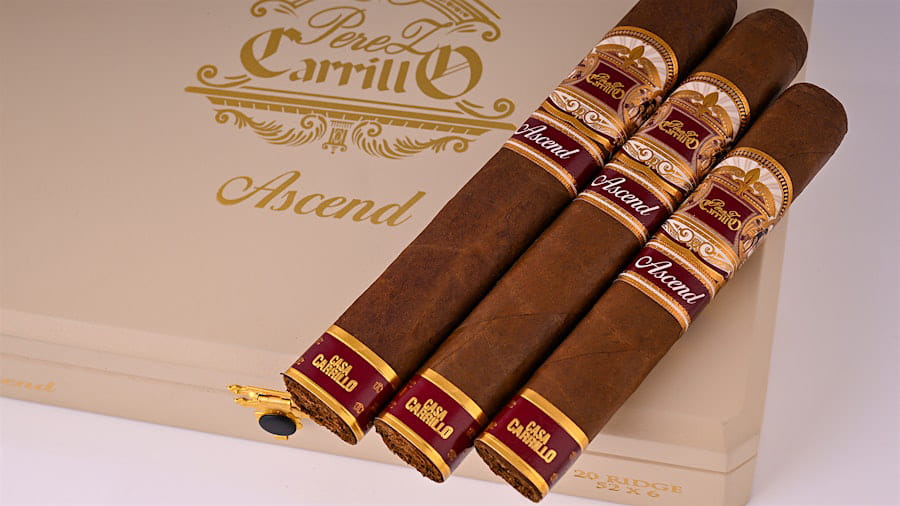 Điếu Xì Gà Casa Carrillo Ascend