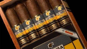 Xì Gà Cohiba Talisman
