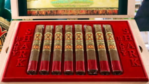 Xì Gà Fuente OpusX No. 77 Baby Shark